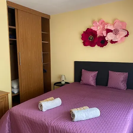 цветно Appartement *
