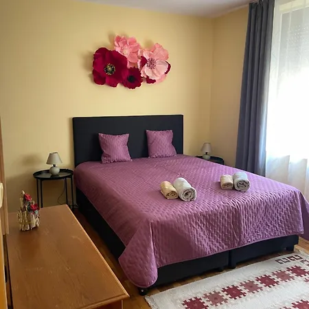 цветно * Várna